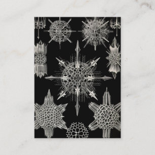 Ernst Haeckel   Acanthophracta Visitekaartje