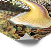 Ernst Haeckel Actiniae Poster (Hoek)