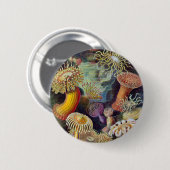 Ernst Haeckel - Actiniae Ronde Button 5,7 Cm (Voorkant /achterkant)