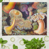 Ernst Haeckel Actiniaea zee anemone Theedoek (Gevouwen)