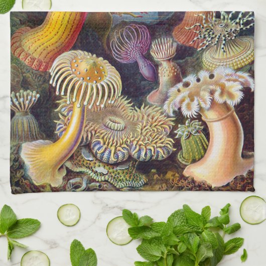 Ernst Haeckel Actiniaea zee anemone Theedoek (Gevouwen)