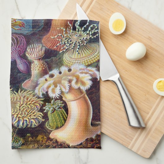 Ernst Haeckel Actiniaea zee anemone Theedoek (Quarter Fold)