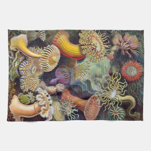 Ernst Haeckel Actiniaea zee anemone Theedoek (Horizontaal)