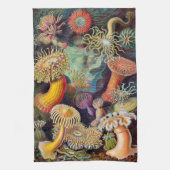Ernst Haeckel Actiniaea zee anemone Theedoek (Verticaal)
