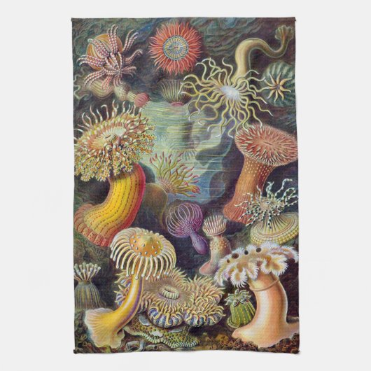 Ernst Haeckel Actiniaea zee anemone Theedoek (Verticaal)