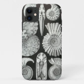 Ernst Haeckel - Ammonitida Case-Mate iPhone Case (Achterkant)