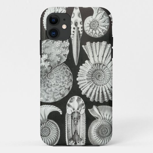 Ernst Haeckel - Ammonitida Case-Mate iPhone Case (Achterkant)