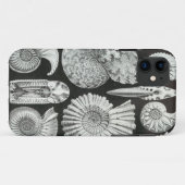 Ernst Haeckel - Ammonitida Case-Mate iPhone Case (Achterkant (horizontaal))