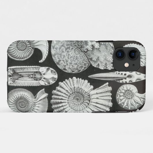 Ernst Haeckel - Ammonitida Case-Mate iPhone Case (Achterkant (horizontaal))