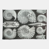 Ernst Haeckel Ammonitida fossielen Theedoek (Horizontaal)
