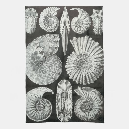Ernst Haeckel Ammonitida fossielen Theedoek (Verticaal)