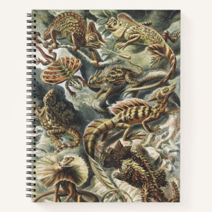 Ernst Haeckel Antieke Reptiel Hagedis Natuur Kunst Notitieboek