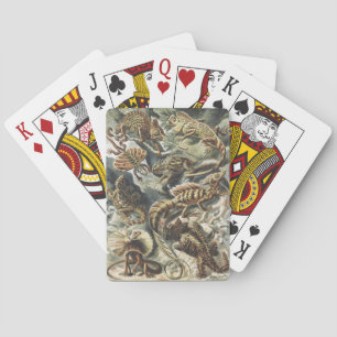Ernst Haeckel Antieke Reptiel Hagedis Natuur Kunst Pokerkaarten