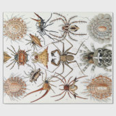 Ernst Haeckel Arachnida Spiders Poster Cadeaupapier (Vlak)
