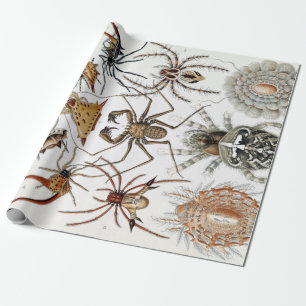 Ernst Haeckel Arachnida Spiders Poster Cadeaupapier