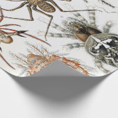 Ernst Haeckel Arachnida Spiders Poster Cadeaupapier (Hoek)