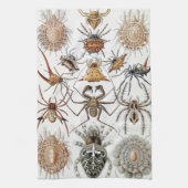Ernst Haeckel Arachnida Spiders Poster Hoesje-Mate Theedoek (Verticaal)