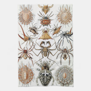 Ernst Haeckel Arachnida Spiders Poster Hoesje-Mate Theedoek