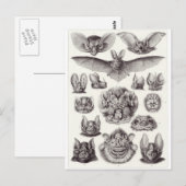 Ernst Haeckel Art Briefkaart: Chiroptera Briefkaart (Voorkant / Achterkant)