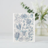 Ernst Haeckel Art Briefkaart: Ctenophorae Briefkaart (Staand voorkant)