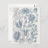 Ernst Haeckel Art Briefkaart: Ctenophorae Briefkaart (Voorkant / Achterkant)
