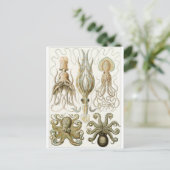 Ernst Haeckel Art Briefkaart: Gamochonia Briefkaart (Staand voorkant)