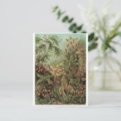 Ernst Haeckel Art Briefkaart: Muscinae Briefkaart (Staand voorkant)