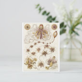 Ernst Haeckel Art Briefkaart: Siphonophorae Briefkaart (Staand voorkant)