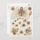 Ernst Haeckel Art Briefkaart: Siphonophorae Briefkaart (Voorkant / Achterkant)