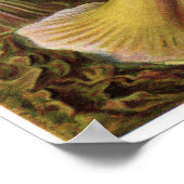 Ernst Haeckel Art Print: Actiniae Poster (Hoek)