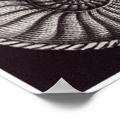 Ernst Haeckel Art Print: Ammonitida Poster (Hoek)