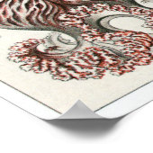 Ernst Haeckel Art Print: Anthomedusae Poster (Hoek)
