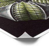 Ernst Haeckel Art Print: Blastoidea Poster (Hoek)