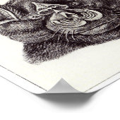 Ernst Haeckel Art Print: Chiroptera Poster (Hoek)