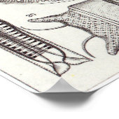 Ernst Haeckel Art Print: Diatomea Poster (Hoek)