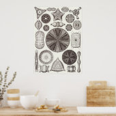 Ernst Haeckel Art Print: Diatomea Poster (Keuken)