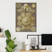Ernst Haeckel Art Print: Discomedusae Poster (Thuiskantoor)