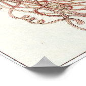 Ernst Haeckel Art Print: Discomedusae Poster (Hoek)