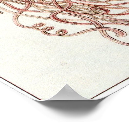 Ernst Haeckel Art Print: Discomedusae Poster (Hoek)