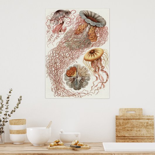 Ernst Haeckel Art Print: Discomedusae Poster (Keuken)