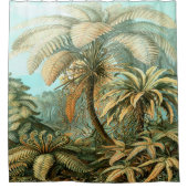 Ernst Haeckel Art Print:Filicina Douchegordijn (Voorkant)