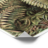 Ernst Haeckel Art Print: Filicinae Poster (Hoek)