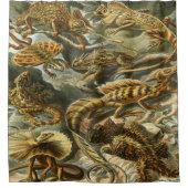 Ernst Haeckel Art Print:Lacertilia Douchegordijn (Voorkant)