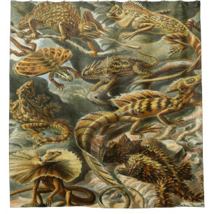 Ernst Haeckel Art Print:Lacertilia Douchegordijn