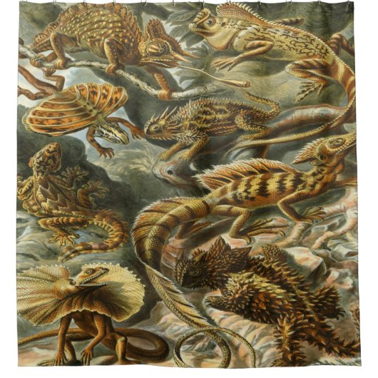 Ernst Haeckel Art Print:Lacertilia Douchegordijn (Voorkant)