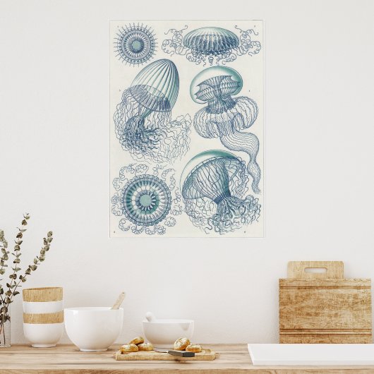 Ernst Haeckel Art Print: Leptomedusae Poster (Keuken)