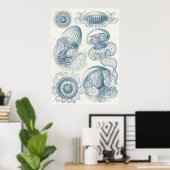 Ernst Haeckel Art Print: Leptomedusae Poster (Thuiskantoor)