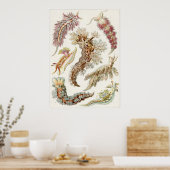 Ernst Haeckel Art Print: Nudibranchia Poster (Keuken)