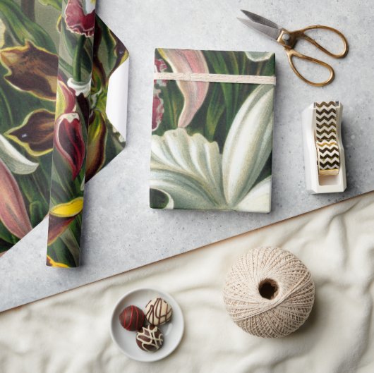 Ernst Haeckel Art Print: Orchidae Oncidiums, tulpe Cadeaupapier (Crafts)