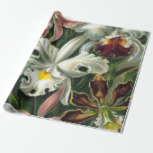 Ernst Haeckel Art Print: Orchidae Oncidiums, tulpe Cadeaupapier (Uitgerold)